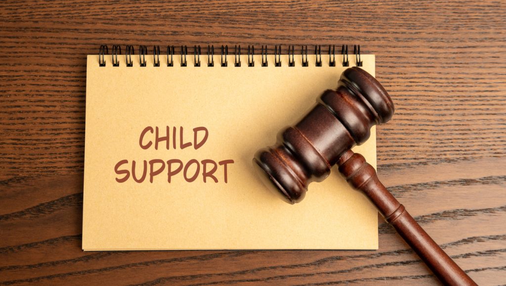 Iowa court child custody best interests